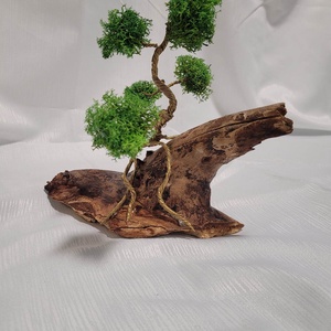 Bonsai - Izlandi zuzmóval  - otthon & életmód - dekoráció - asztal és polc dekoráció - asztaldísz - Meska.hu