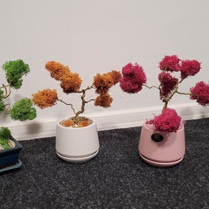 Bonsai - Izlandi zuzmóval és sárgaréz huzallal - otthon & életmód - dekoráció - asztal és polc dekoráció - asztaldísz - Meska.hu
