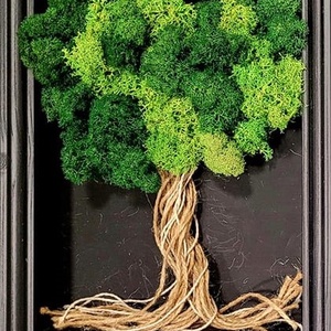 Gondozásmentes zuzmófa - Meska.hu