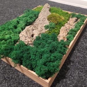 40 x30 cm zuzmó és mohakép - otthon & életmód - dekoráció - fali és függő dekoráció - falra akasztható dekor - Meska.hu