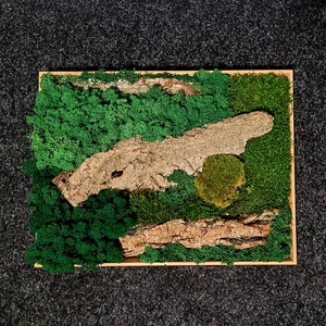 40 x30 cm zuzmó és mohakép - otthon & életmód - dekoráció - fali és függő dekoráció - falra akasztható dekor - Meska.hu