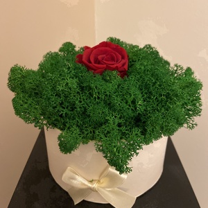 Izlandi zuzmóval díszített  papír doboz örök rózsával, Otthon & Lakás, Dekoráció, Virágdísz és tartó, Csokor & Virágdísz, Virágkötés, Meska