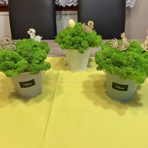 Élő, izlandi zuzmók fém vödröcskében, dekorációval  - otthon & életmód - dekoráció - Meska.hu