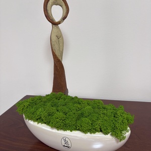 Izlandi zuzmó modern kaspóban , Otthon & Életmód, Dekoráció, Asztal és polc dekoráció, Zuzmódekoráció, Mohadekoráció, Mindenmás, Virágkötés, MESKA