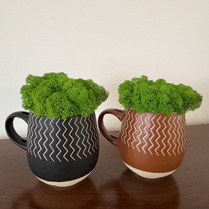 Izlandi zuzmó kaspóban , Otthon & Életmód, Dekoráció, Asztal és polc dekoráció, Zuzmódekoráció, Mohadekoráció, Mindenmás, Virágkötés, MESKA