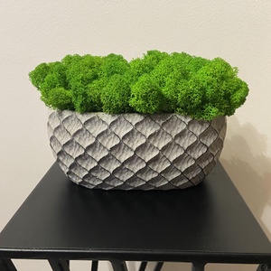 Izlandi zuzmó modern kaspóban , Otthon & Életmód, Dekoráció, Asztal és polc dekoráció, Zuzmódekoráció, Mohadekoráció, Mindenmás, Virágkötés, MESKA