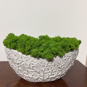 Izlandi zuzmó kaspóban , Otthon & Életmód, Dekoráció, Asztal és polc dekoráció, Zuzmódekoráció, Mohadekoráció, Mindenmás, Virágkötés, MESKA