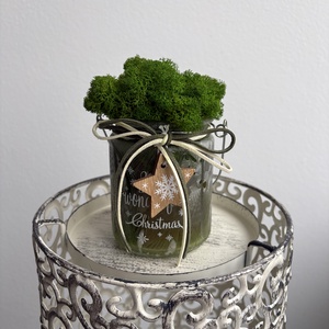 Izlandi zuzmó - karácsonyi - kaspóban , Otthon & Életmód, Dekoráció, Asztal és polc dekoráció, Zuzmódekoráció, Mohadekoráció, Mindenmás, Virágkötés, MESKA