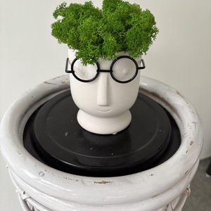 Izlandi zuzmó -szemüveges - kaspóban , Otthon & Életmód, Dekoráció, Asztal és polc dekoráció, Zuzmódekoráció, Mohadekoráció, Mindenmás, Virágkötés, MESKA