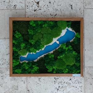 Balatonos Mohakép , Otthon & Életmód, Dekoráció, Fali és függő dekoráció, Zuzmókép, Mohakép, , MESKA