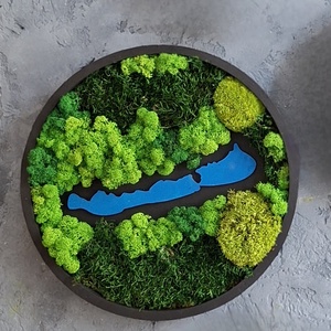 Balaton, Otthon & Életmód, Dekoráció, Fali és függő dekoráció, Zuzmókép, Mohakép, , MESKA