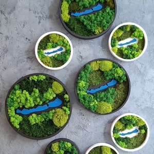 Balaton - otthon & életmód - dekoráció - fali és függő dekoráció - zuzmókép, mohakép - Meska.hu