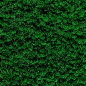 Álomfa - Életfa  - otthon & életmód - dekoráció - fali és függő dekoráció - zuzmókép, mohakép - Meska.hu