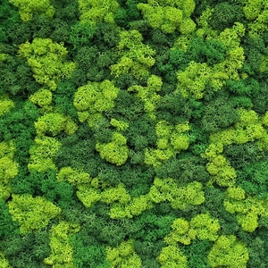 Zuzmó falióra - Tömörfából  - otthon & életmód - dekoráció - fali és függő dekoráció - falióra & óra - Meska.hu