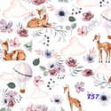 EveDesign