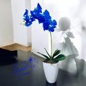 Kék Orchidea - Meska.hu