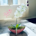 Rózsaszín Orchidea Dísz - Meska.hu